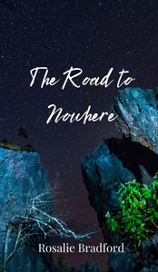 The Road to Nowhere - (Hardback or Cased Book) The Road to Nowhere - (Hardback or Cased Book)