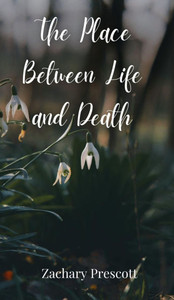 The Place Between Life and Death - (Hardback or Cased Book)