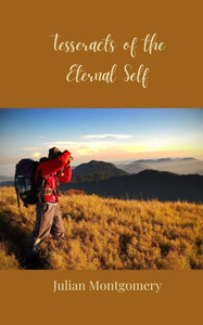 Tesseracts of the Eternal Self - (Paperback or Softback) Tesseracts of the Eternal Self - (Paperback or Softback)