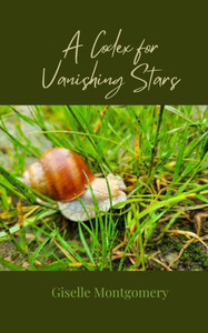 A Codex for Vanishing Stars - (Paperback or Softback) A Codex for Vanishing Stars - (Paperback or Softback)
