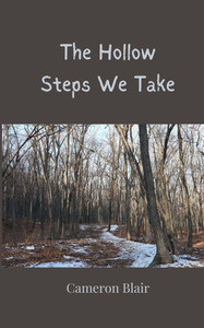 The Hollow Steps We Take - (Paperback or Softback) The Hollow Steps We Take - (Paperback or Softback)