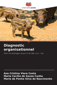 Diagnostic organisationnel Diagnostic organisationnel