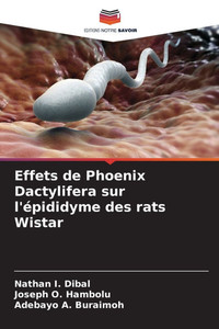 Effets de Phoenix Dactylifera sur l'épididyme des rats Wistar Effets de Phoenix Dactylifera sur l'épididyme des rats Wistar