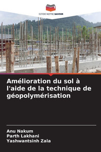 Amélioration du sol à l'aide de la technique de géopolymérisation Amélioration du sol à l'aide de la technique de géopolymérisation