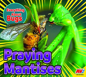 Praying Mantises - 9781791139094