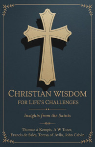 Christian Wisdom for Life's Challenges: Insights from the Saints - (Paperback or Softback) Christian Wisdom for Life's Challenges: Insights from the Saints - (Paperback or Softback)