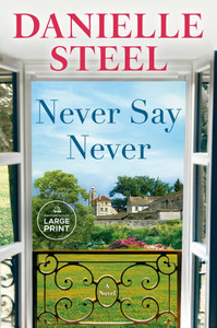 Never Say Never - (Paperback or Softback) Never Say Never - (Paperback or Softback)