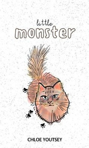 Little Monster - (Paperback or Softback)
