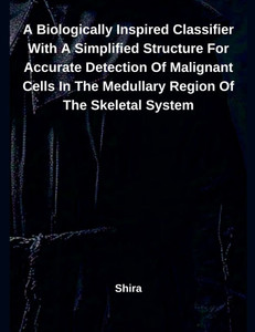 A Biologically Inspired Classifier With A Simplified Structure For Accurate Detection Of Malignant Cells In The Medullary Region Of The Skeletal Syste
