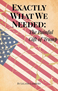Exactly What We Needed: The Painful Gift of Trump Exactly What We Needed: The Painful Gift of Trump