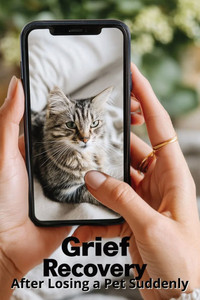Grief Recovery After Losing a Pet Suddenly: A Compassionate Guide to Healing After Unexpected Loss