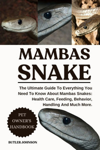 Mambas Snake: The Ultimate Guide To Everything You Need To Know About Mambas Snakes: Health Care, Feeding, Behavior, Handling And Much More. Mambas Snake: The Ultimate Guide To Everything You Need To Know About Mambas Snakes: Health Care, Feeding, Behavior, Handling And Much More.