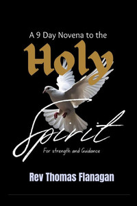 A 9 Day Novena to the Holy spirit: For strength and Guidance A 9 Day Novena to the Holy spirit: For strength and Guidance