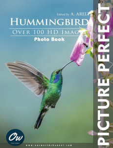 Hummingbird: Picture Perfect Photo Book Hummingbird: Picture Perfect Photo Book