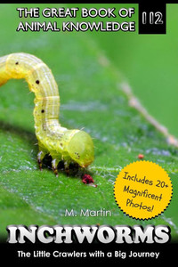 Inchworms: The Little Crawlers with a Big Journey Inchworms: The Little Crawlers with a Big Journey