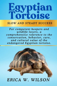 Egyptian Tortoise: Understanding and Protecting a Desert Jewel