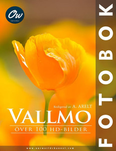 Vallmo: Över 100 HD-bilder Vallmo: Över 100 HD-bilder