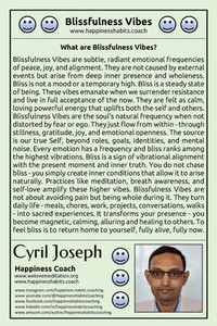Blissfulness Vibes - 9798287365752