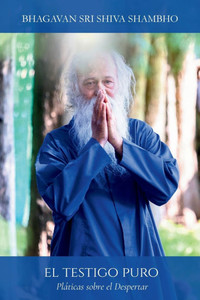 El Testigo Puro: Pláticas sobre el Despertar