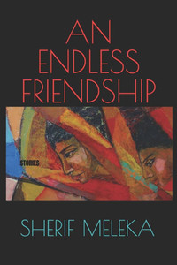 An Endless Friendship: Stories An Endless Friendship: Stories