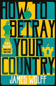 How To Betray Your Country - 9781913394516