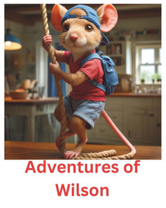 Adventures of Wilson Adventures of Wilson
