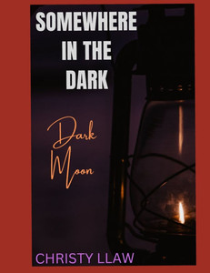 Somewhere in the Dark: Dark Moon