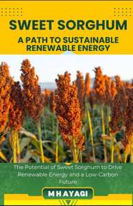 Sweet Sorghum: A SUSTAINABLE CROP FOR RENEWABLE ENERGY: The Potential of Sweet Sorghum to Drive Renewable Energy and a Low-Carbon Future