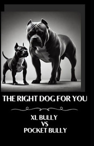 The right dog for you XL Bully vs Pocket Bully The right dog for you XL Bully vs Pocket Bully