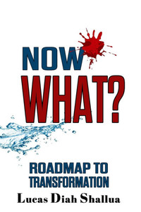 What Now?: Roadmap to Transformation