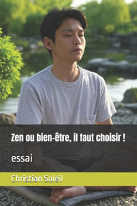 Zen ou bien-être, il faut choisir !: essai Zen ou bien-être, il faut choisir !: essai
