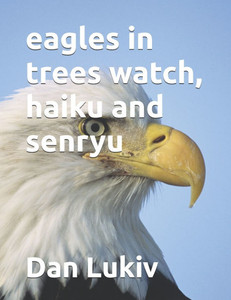 eagles in trees watch, haiku and senryu
