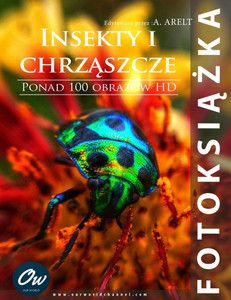 Insekty i chrząszcze: Fotoksiążka Insekty i chrząszcze: Fotoksiążka