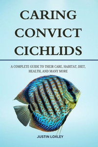 Caring Convict Cichlids: A Complete Guide to Their Care, Habitat, Diet, Health, and Many More