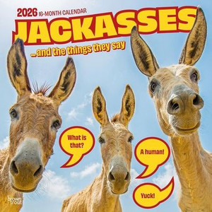 Jackasses 2026 12 X 24 Inch (Hanging) Monthly Square Wall Calendar Plastic-Free