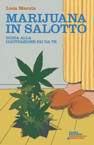 Marijuana in salotto: Guida alla coltivazione fai da te Marijuana in salotto: Guida alla coltivazione fai da te