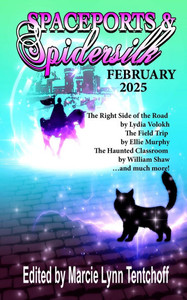 Spaceports & Spidersilk February 2025