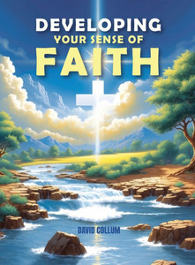 Developing Your Sense Of Faith - (Hardback or Cased Book) Developing Your Sense Of Faith - (Hardback or Cased Book)