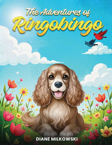 The Adventures of Ringobingo