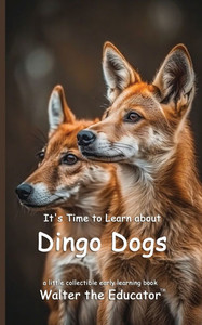 It's Time to Learn about Dingo Dogs