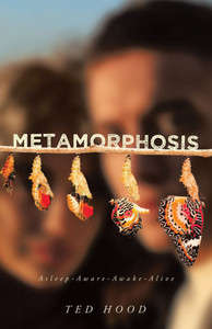 Metamorphosis: Asleep-Aware-Awake-Alive - (Hardback or Cased Book)