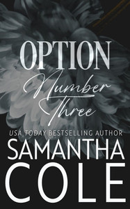 Option Number Three Option Number Three