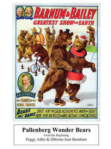 Pallenberg Wonder Bears - From the Beginning - (Paperback or Softback) Pallenberg Wonder Bears - From the Beginning - (Paperback or Softback)