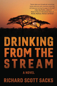 Drinking from the Stream - (Paperback or Softback)