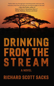 Drinking from the Stream - (Hardback or Cased Book)