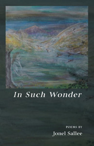 In Such Wonder - (Paperback or Softback) In Such Wonder - (Paperback or Softback)