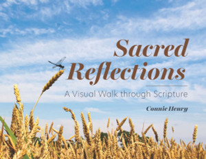 Sacred Reflections: A Visual Walk through Scripture - (Paperback or Softback) Sacred Reflections: A Visual Walk through Scripture - (Paperback or Softback)
