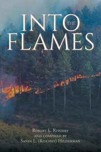 Into the Flames - (Paperback or Softback) Into the Flames - (Paperback or Softback)