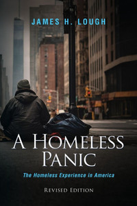 A Homeless Panic: The Homeless Experience in America - (Paperback or Softback)