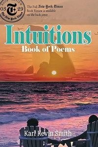 Intuitions: Book of Poems - (Paperback or Softback) Intuitions: Book of Poems - (Paperback or Softback)